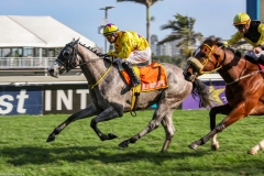 23-october-2019_R6-MIGHTY-SMART