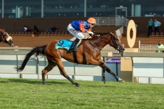 29-january-2020_R8-RISE-scaled